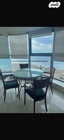 דוד אלעזר 10