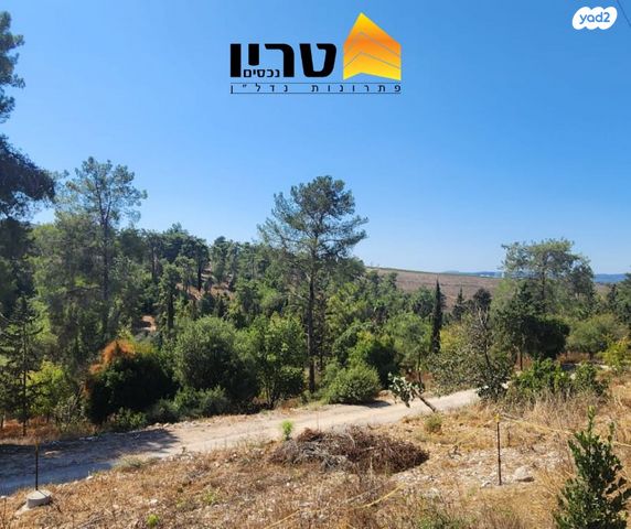 בית פרטי/ קוטג', רמת השופט