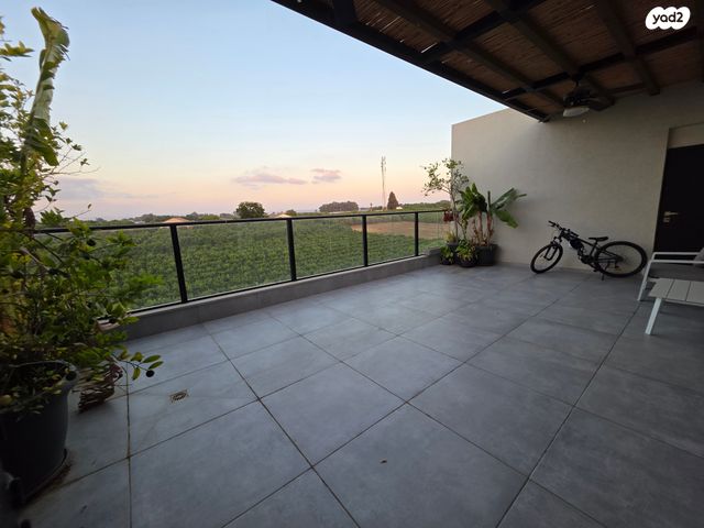 דופלקס, תל מונד