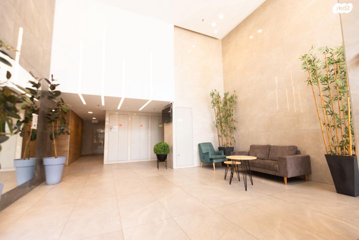 דירה, האנפה, החותרים, טירת כרמל