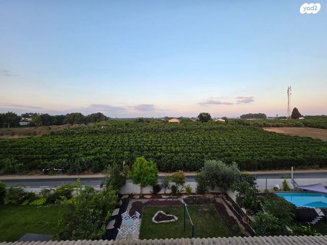 דופלקס, תל מונד