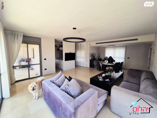 דופלקס, הזמר העברי, כפר סבא