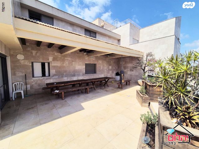 דופלקס, הזמר העברי, כפר סבא