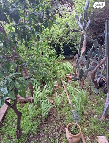 יציאת אירופה תש"ז 