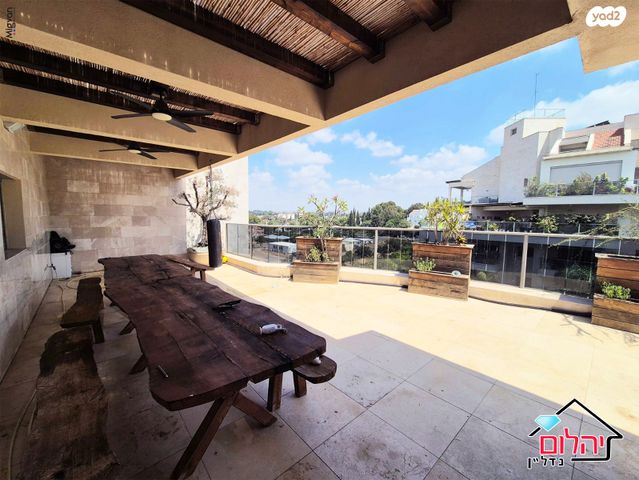 דופלקס, הזמר העברי, כפר סבא