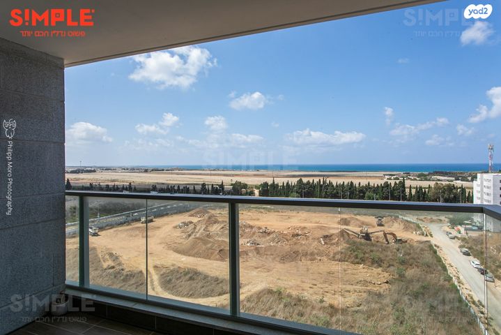 דירה, העגור, החותרים, טירת כרמל