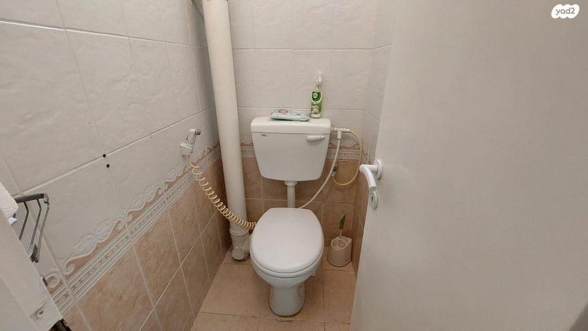 דירה, נתן אלבז, הראשונים, שלומי