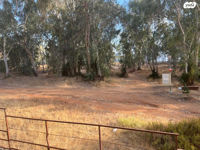 דירה, ארלוזורוב, כפר סבא