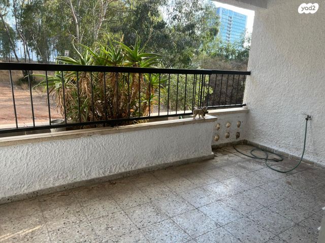 דירה, ארלוזורוב, כפר סבא