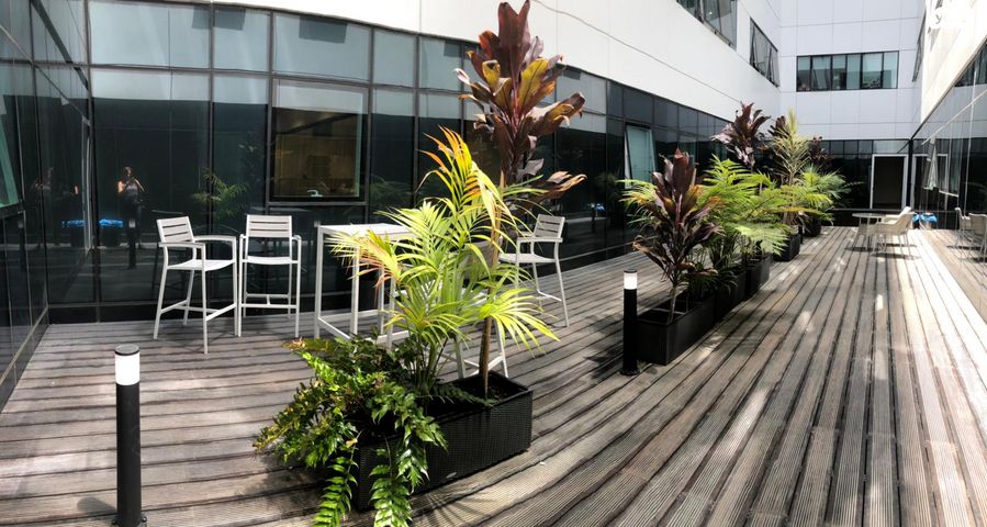 משרדים, מוטי קינד 2, פארק הורוביץ, רחובות