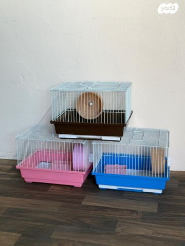 תמונת מודעה - חיות מחמד