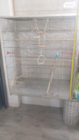 תמונת מודעה - חיות מחמד