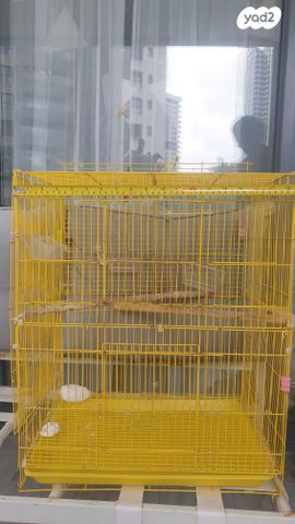 תמונת מודעה - חיות מחמד