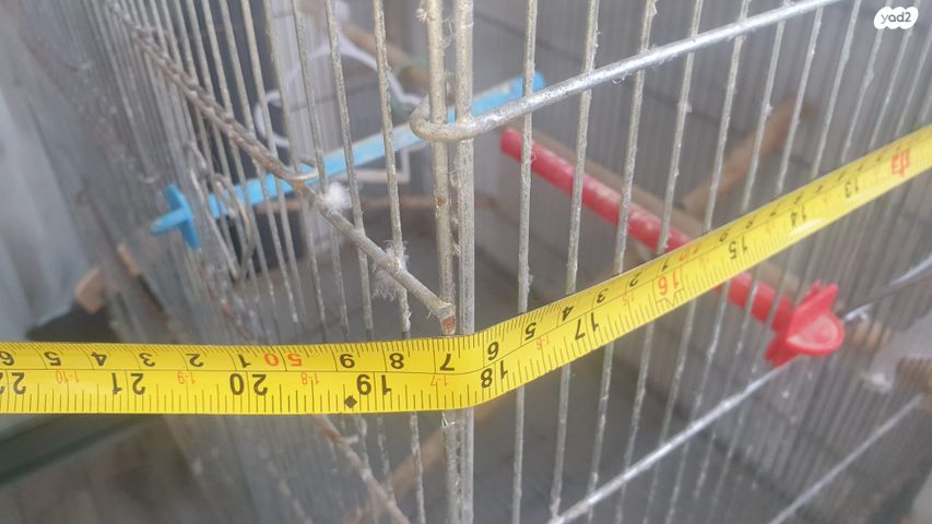 אביזרים | כלוב