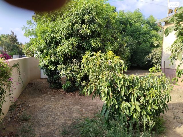 בית פרטי/ קוטג', הורדים 29, בית יצחק שער חפר, בית יצחק שער חפר