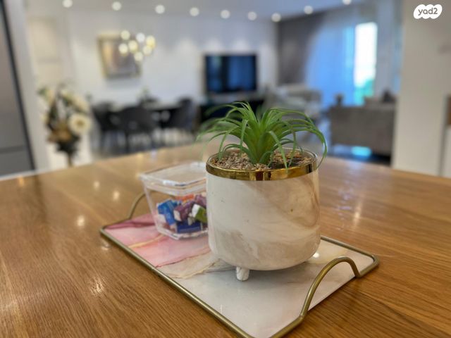 דירה, שבט לוי, רובע י"ב, אשדוד