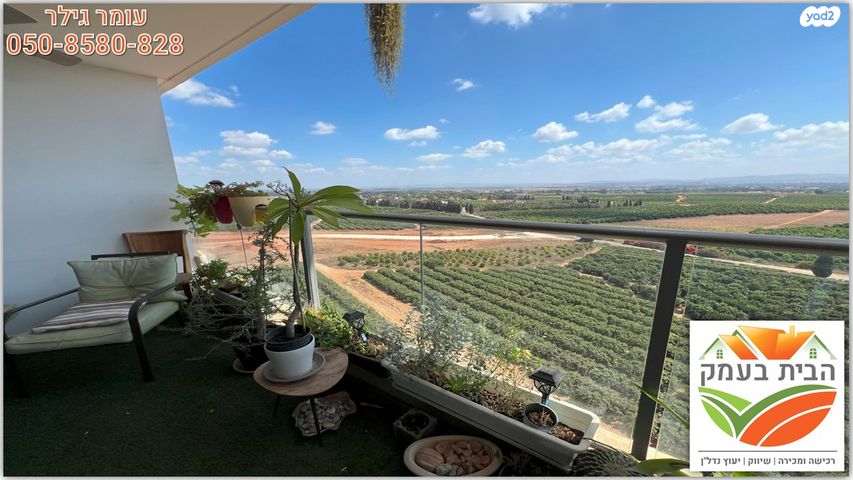 דירה, שושנה דמארי, יפה נוף, כפר יונה