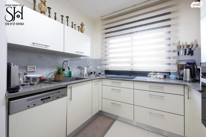 זאב ז'בוטינסקי 