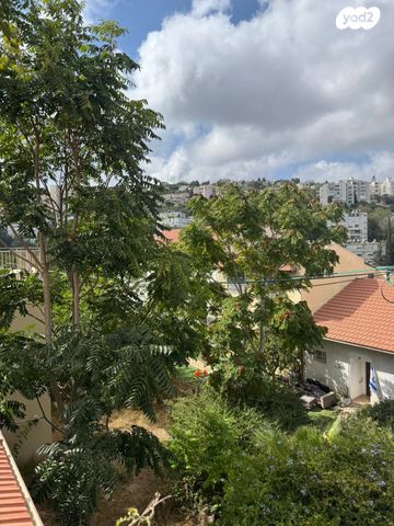 דירה, פלמ"ח, רוממה, חיפה