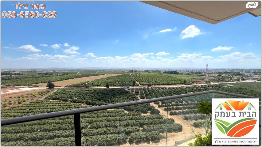 דירה, שושנה דמארי, יפה נוף, כפר יונה