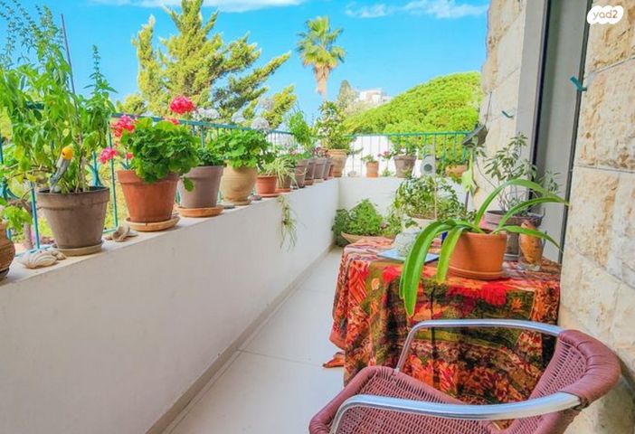 דירה, זאב ז'בוטינסקי, כרמל צרפתי, חיפה