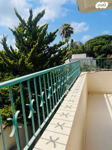 דירה, זאב ז'בוטינסקי, כרמל צרפתי, חיפה