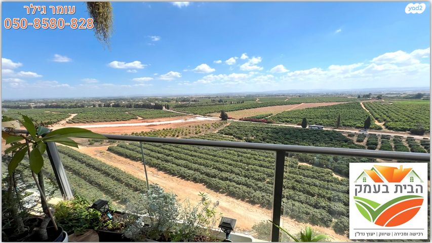 דירה, שושנה דמארי, יפה נוף, כפר יונה