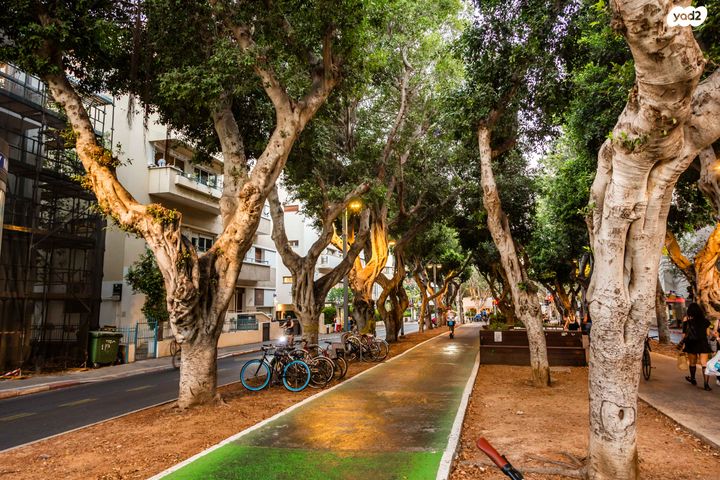 נחום סוקולוב 24