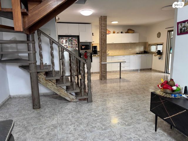 דירה, כיסופים, כפר סבא