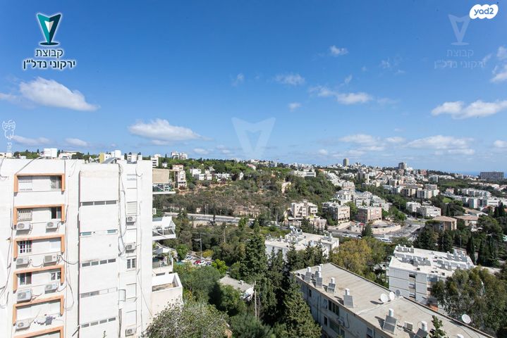 דירה, ארתור הנטקה, אחוזה, חיפה