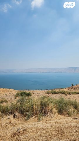 מגרשים, פוריה עילית