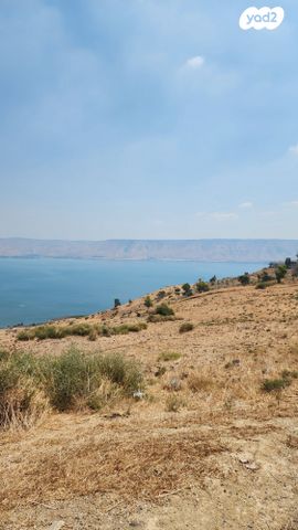 מגרשים, פוריה עילית