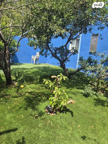 בית פרטי/ קוטג', תמר 15, שיכון א, כפר יונה