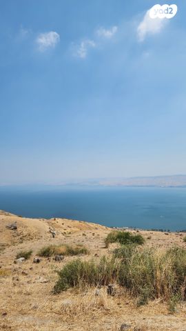 מגרשים, פוריה עילית