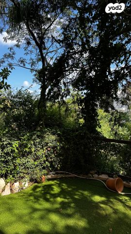 אלכסנדר ינאי 