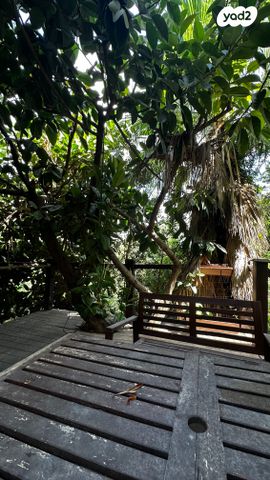 דירת גן, אלכסנדר ינאי, כרמליה, חיפה