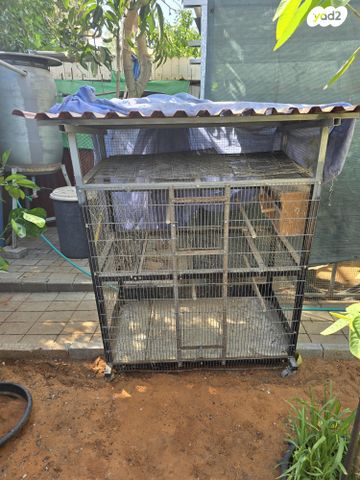 תמונת מודעה - חיות מחמד