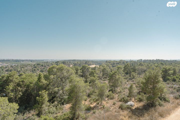 דירה, אורן, החורש, חריש