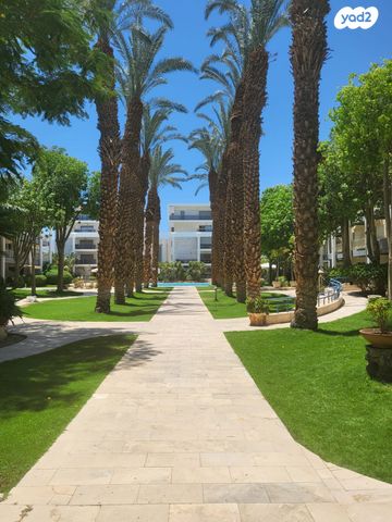 דירה, קאמפן, אילת