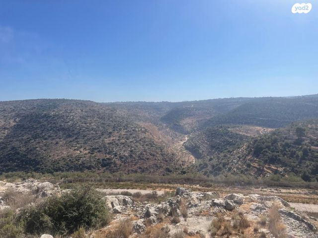 בית פרטי/ קוטג', בית אריה / עופרים