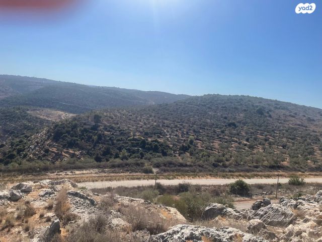 בית פרטי/ קוטג', בית אריה / עופרים