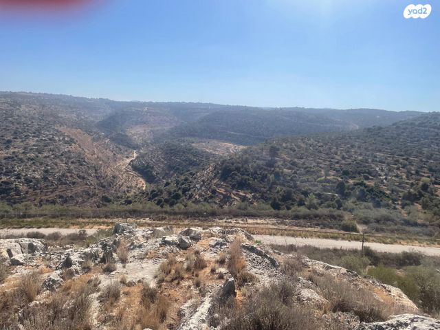 בית פרטי/ קוטג', בית אריה / עופרים