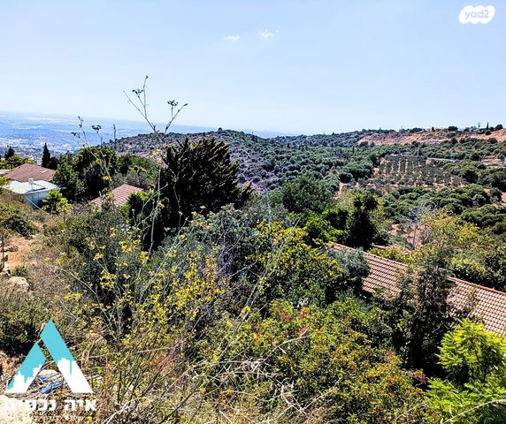 דו משפחתי, קציר