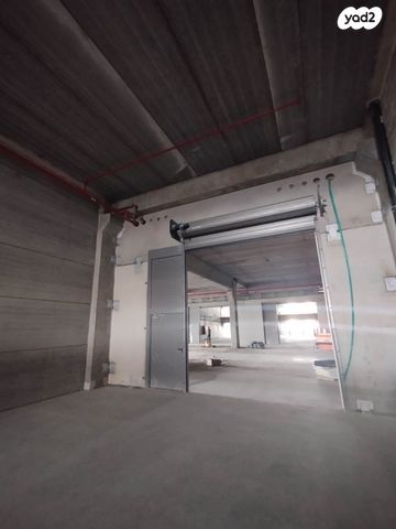 בן ציון גליס 33