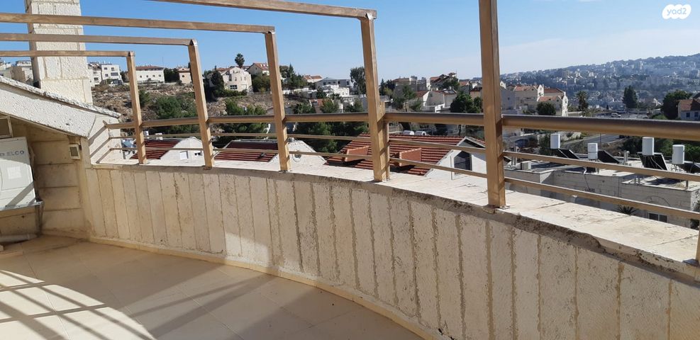 דוד פ. מרץ 13