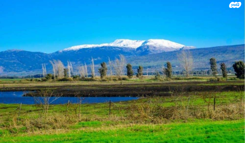 בית פרטי/ קוטג'
