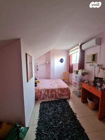 טריפלקס, אשחר, האירוסים, כרמיאל