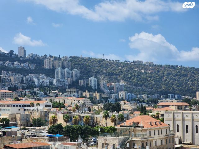 דירה, עין דור, חיפה