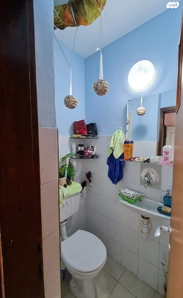 טריפלקס, אשחר, האירוסים, כרמיאל