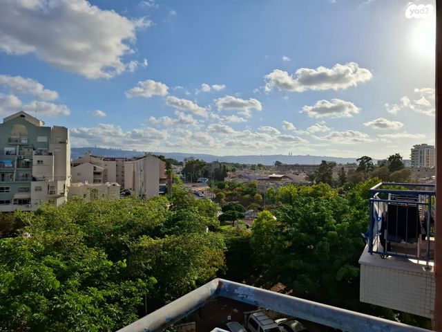 דירה, דב פרומר, חיפה